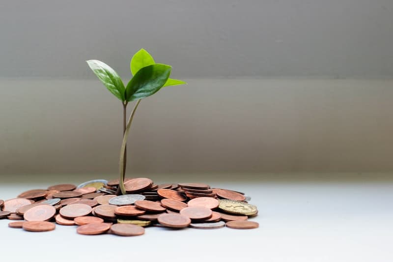 Guía completa: todas las formas de monetizar tu conocimiento en 2026
